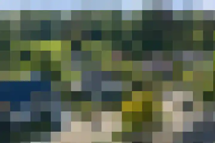 het Wiemelink 7 Vorden thumbnail 61