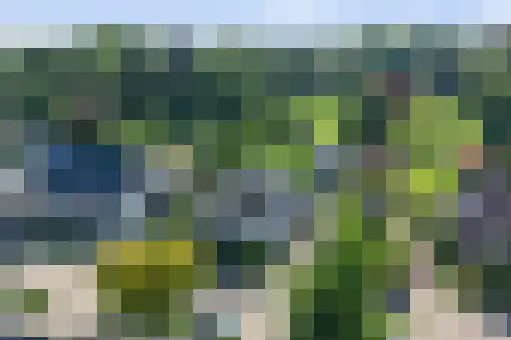 het Wiemelink 7 Vorden thumbnail 62