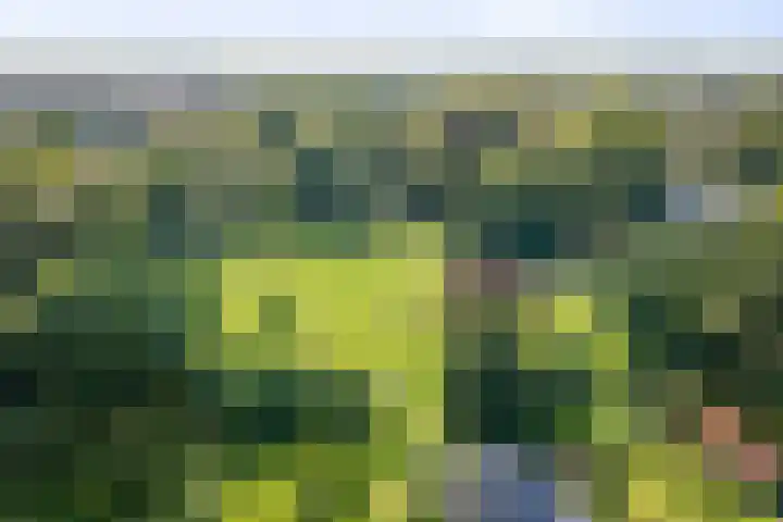 het Wiemelink 7 Vorden thumbnail 63