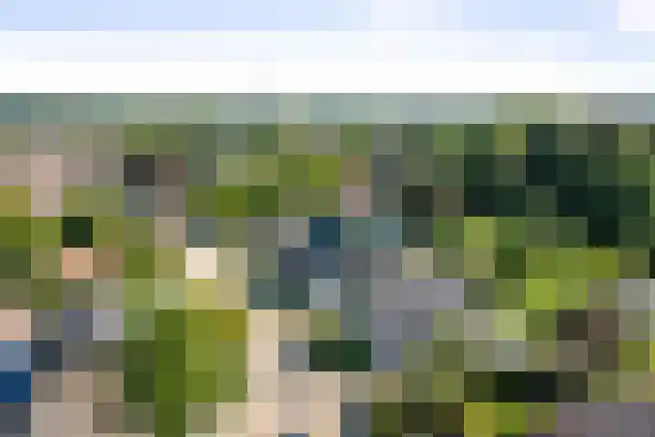 het Wiemelink 7 Vorden thumbnail 65