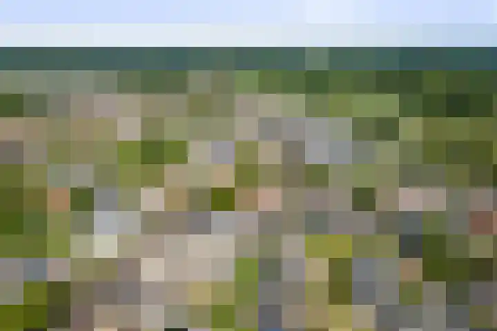het Wiemelink 7 Vorden thumbnail 66