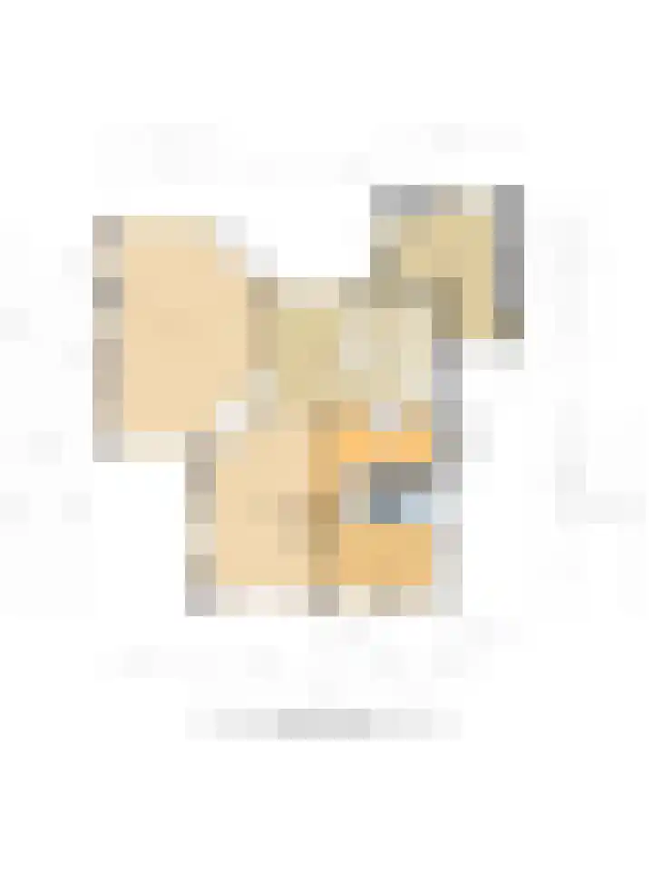 het Wiemelink 7 Vorden thumbnail 67