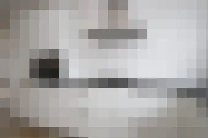 Het Wilgert 11 Epse thumbnail 10