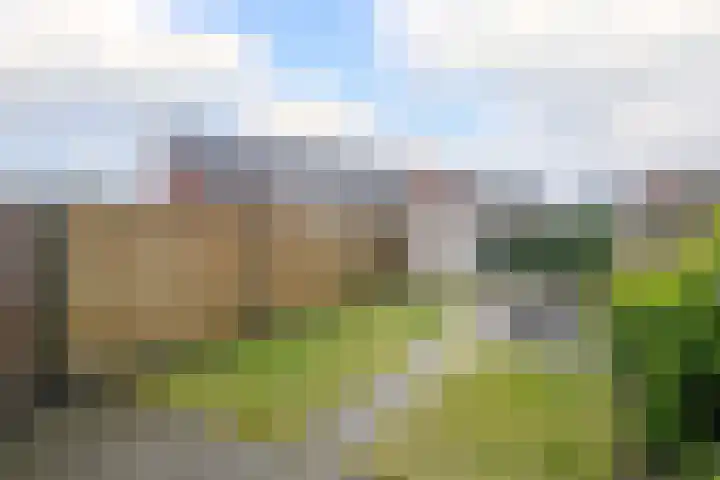Het Wilgert 11 Epse thumbnail 12