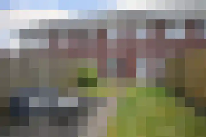 Het Wilgert 11 Epse thumbnail 15