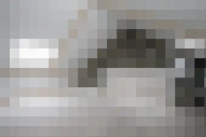 Het Wilgert 11 Epse thumbnail 24