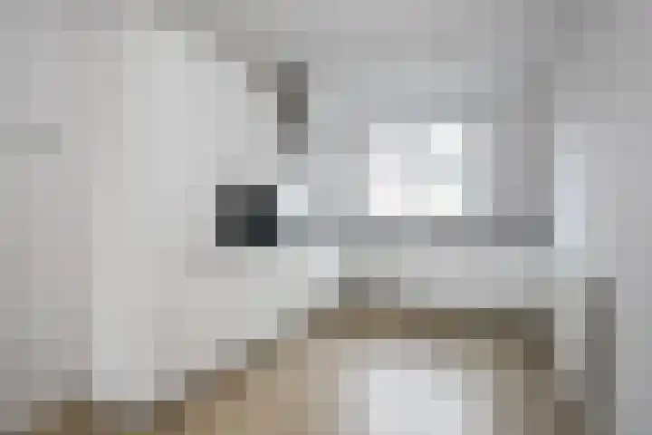 Het Wilgert 11 Epse thumbnail 8