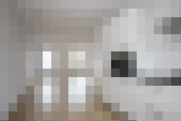 Het Wilgert 11 Epse thumbnail 9