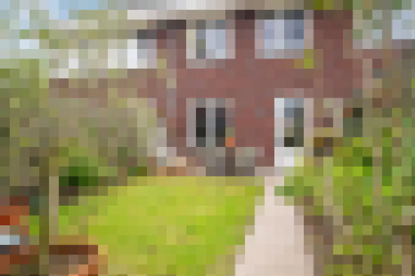 Het Wilgert 13 Epse thumbnail 21