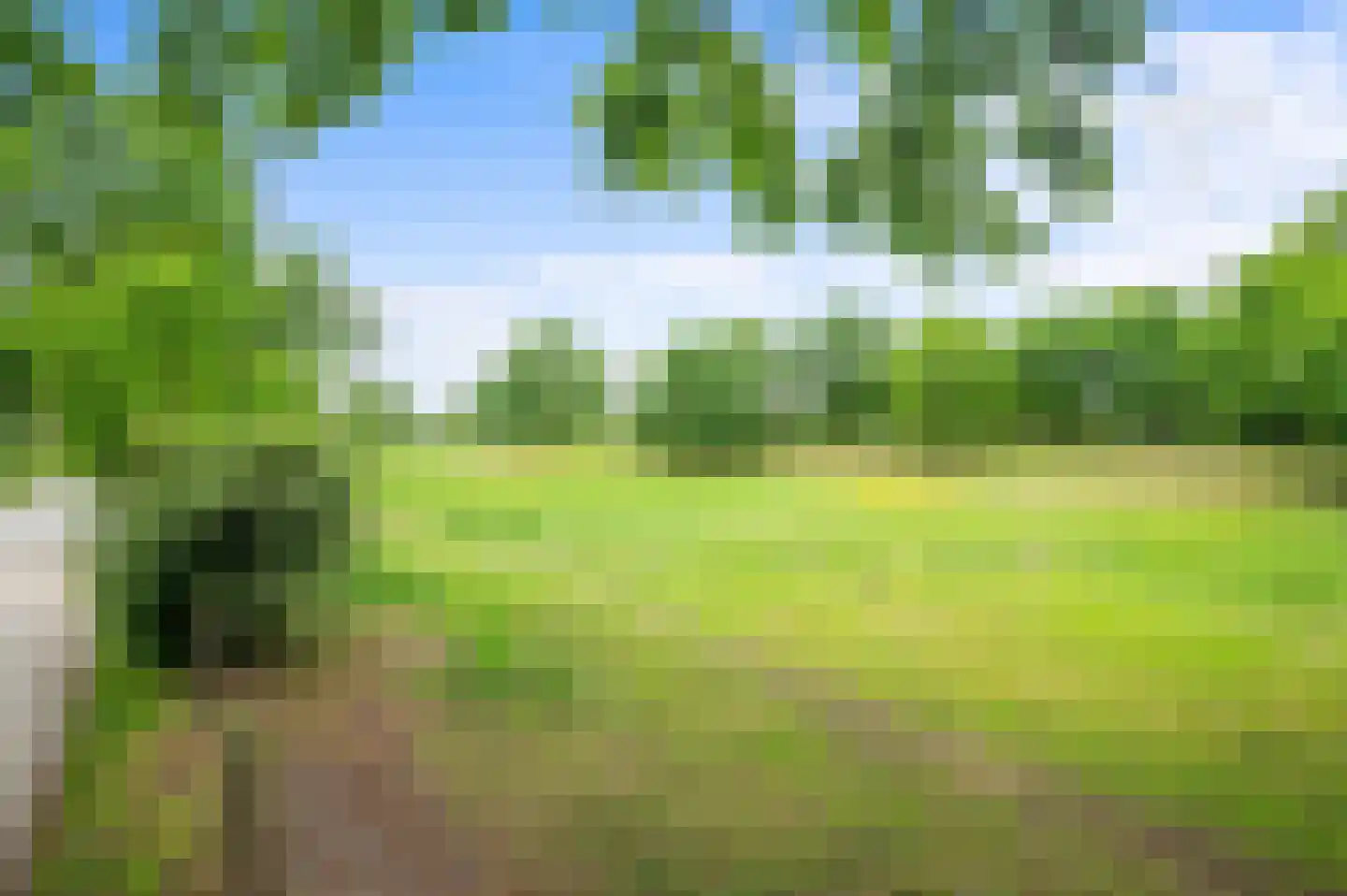 Het Wilgert 13 Epse thumbnail 27