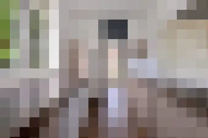 Het Wilgert 14 Epse thumbnail 10