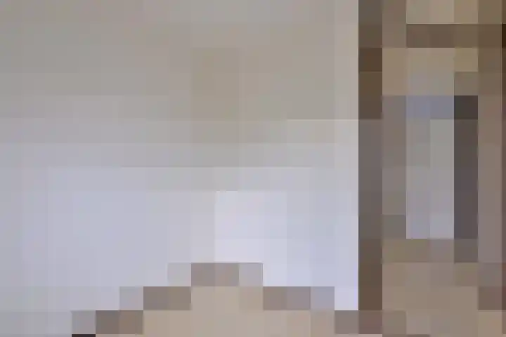 Het Wilgert 14 Epse thumbnail 16