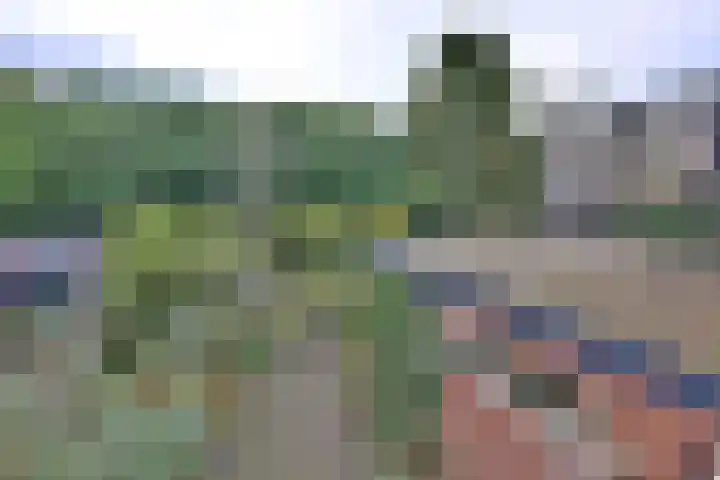 Het Wilgert 14 Epse thumbnail 19