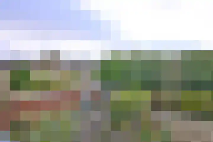 Het Wilgert 14 Epse thumbnail 20