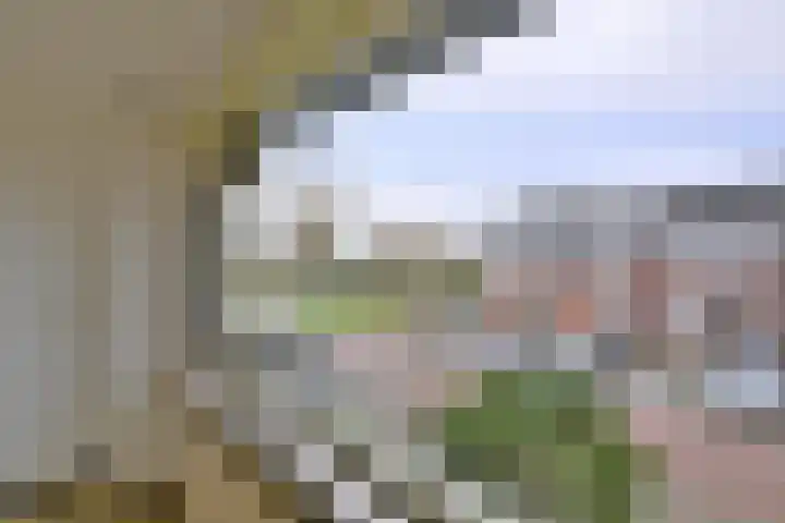 Het Wilgert 14 Epse thumbnail 25