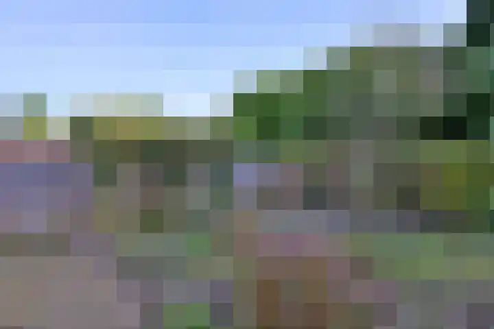 Het Wilgert 14 Epse thumbnail 33