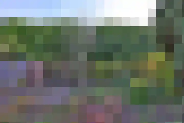 Het Wilgert 14 Epse thumbnail 34