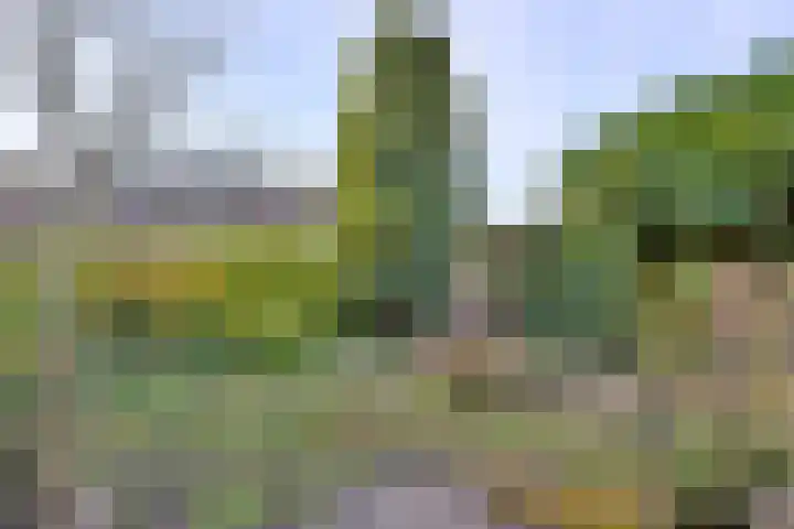 Het Wilgert 14 Epse thumbnail 35