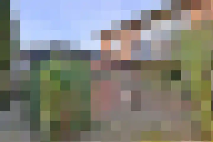 Het Wilgert 14 Epse thumbnail 37