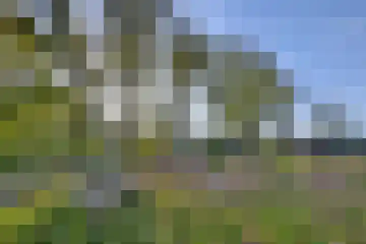Het Wilgert 14 Epse thumbnail 45
