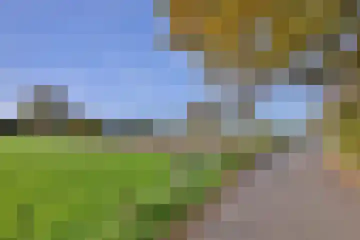 Het Wilgert 14 Epse thumbnail 46