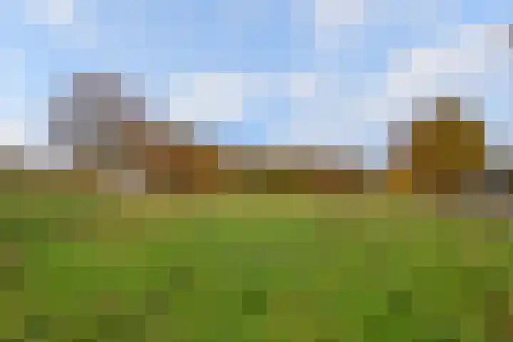 Het Wilgert 14 Epse thumbnail 47