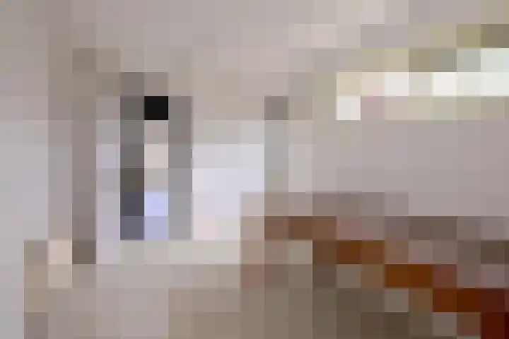 Het Wilgert 14 Epse thumbnail 9