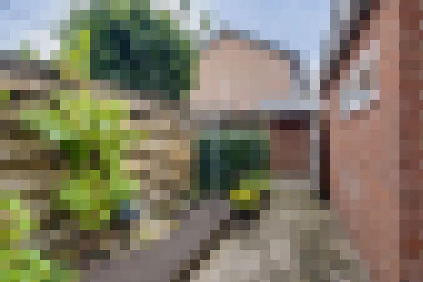 Het Wilgert 58 Epse thumbnail 23