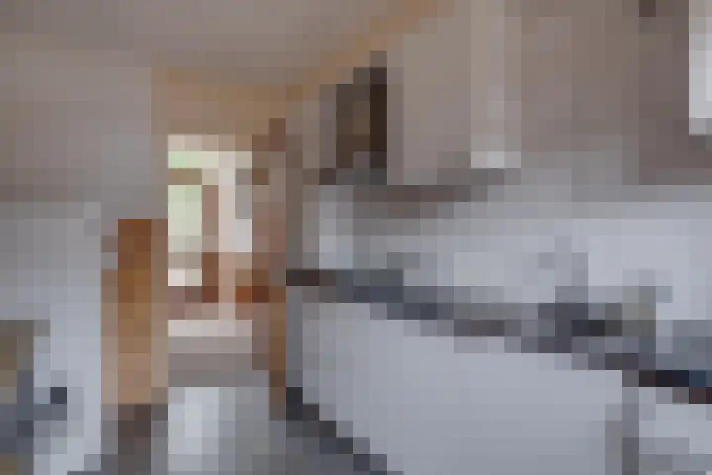 Het Wilgert 58 Epse thumbnail 8