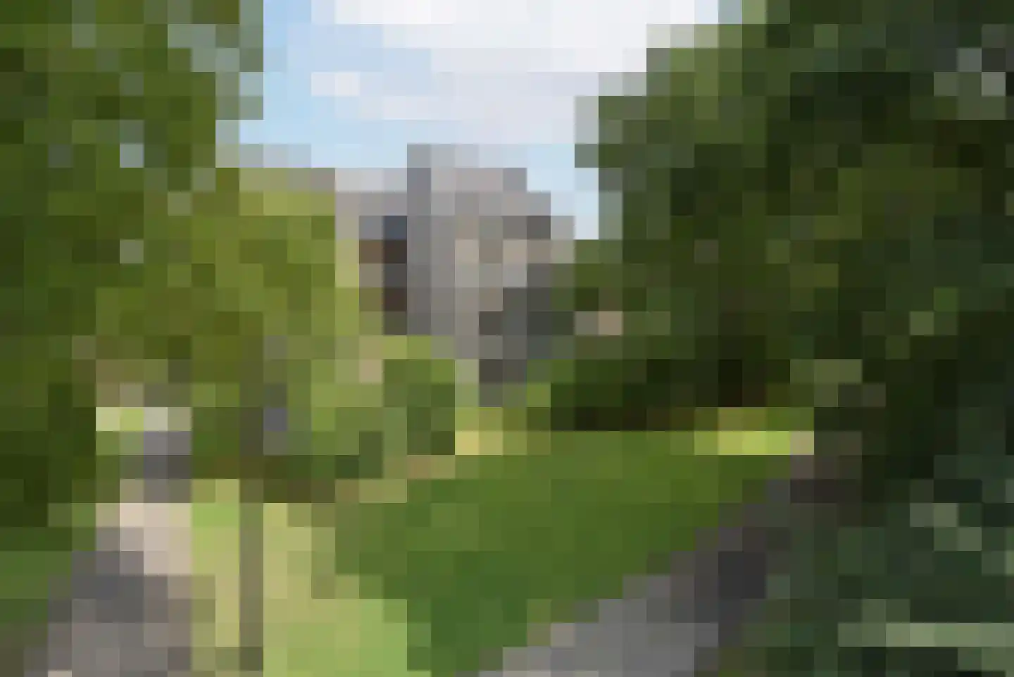 Het Wilhelmus 1 C Maastricht thumbnail 22
