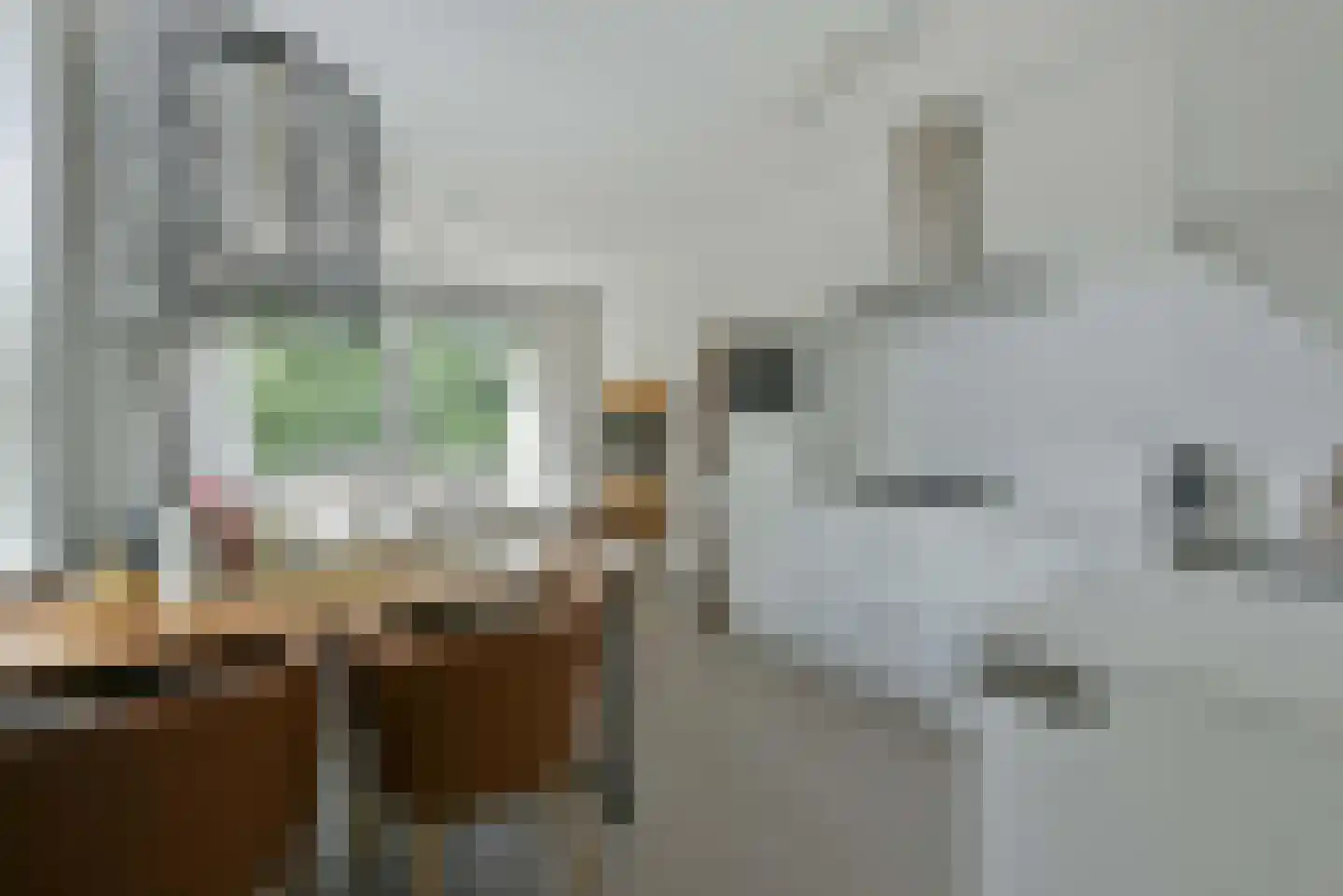 Het Wilhelmus 1 C Maastricht thumbnail 9