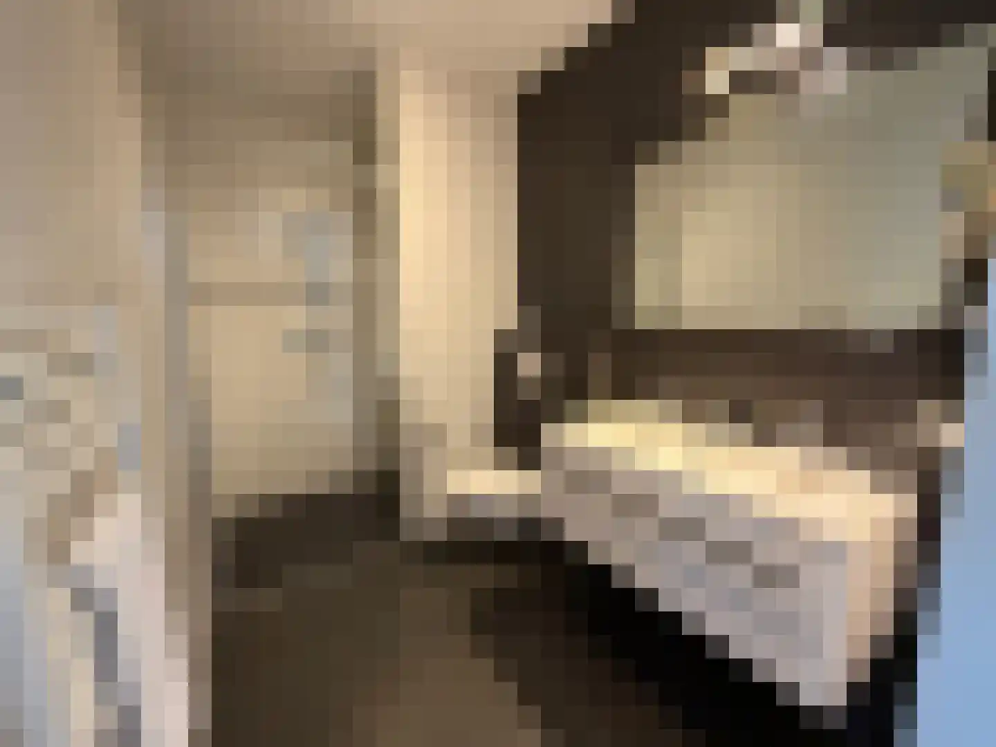 Het Wilhelmus 1 H21 Maastricht thumbnail 10