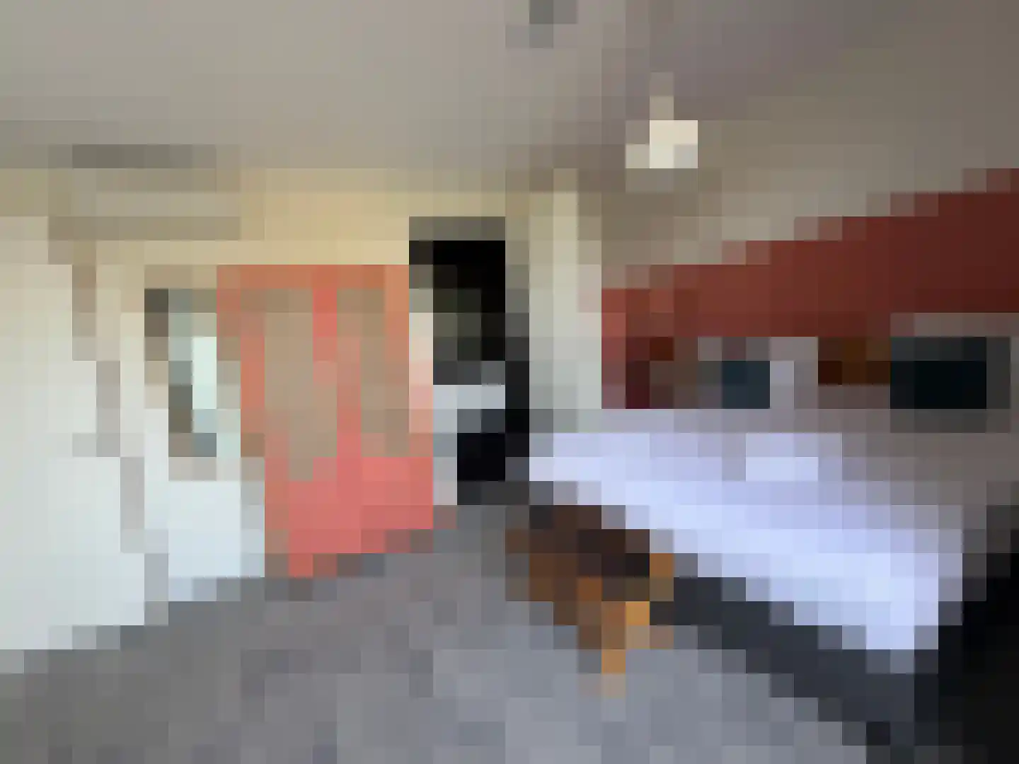 Het Wilhelmus 1 H21 Maastricht thumbnail 6
