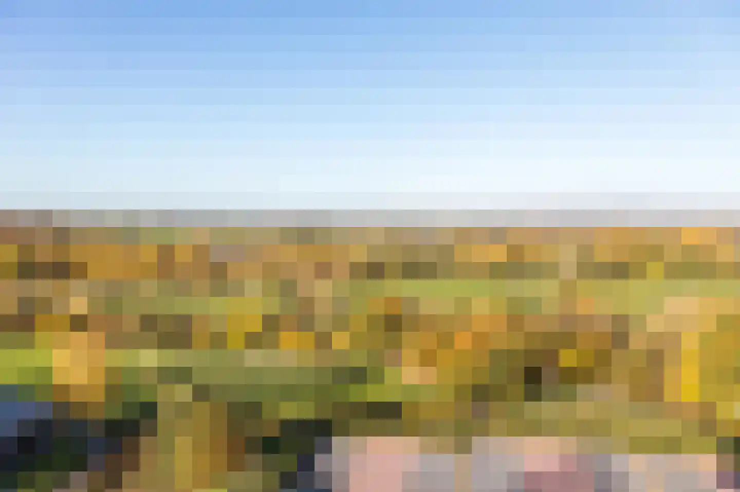 Het Wilhelmus 1 H21 Maastricht thumbnail 7