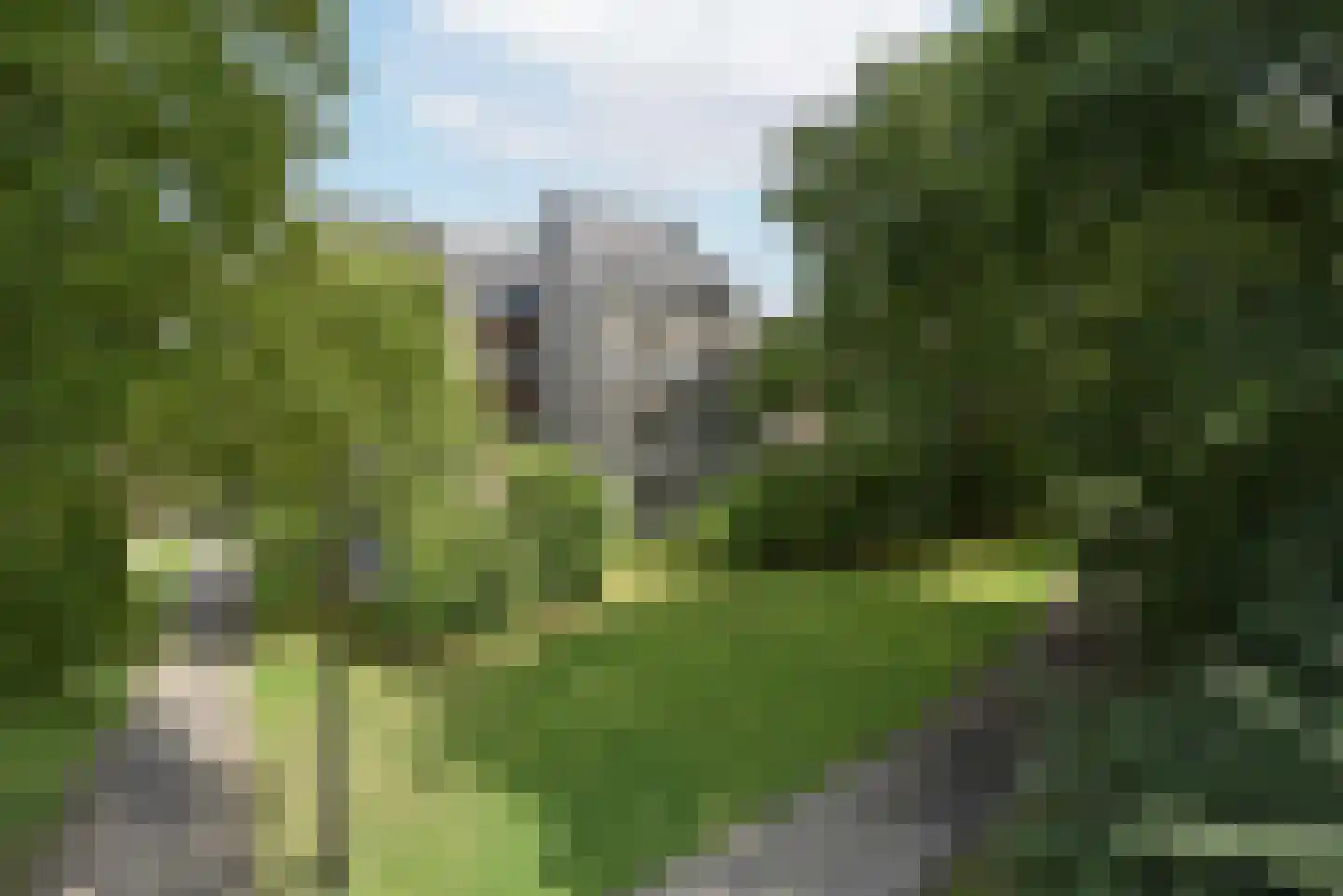 Het Wilhelmus 15 L Maastricht thumbnail 16