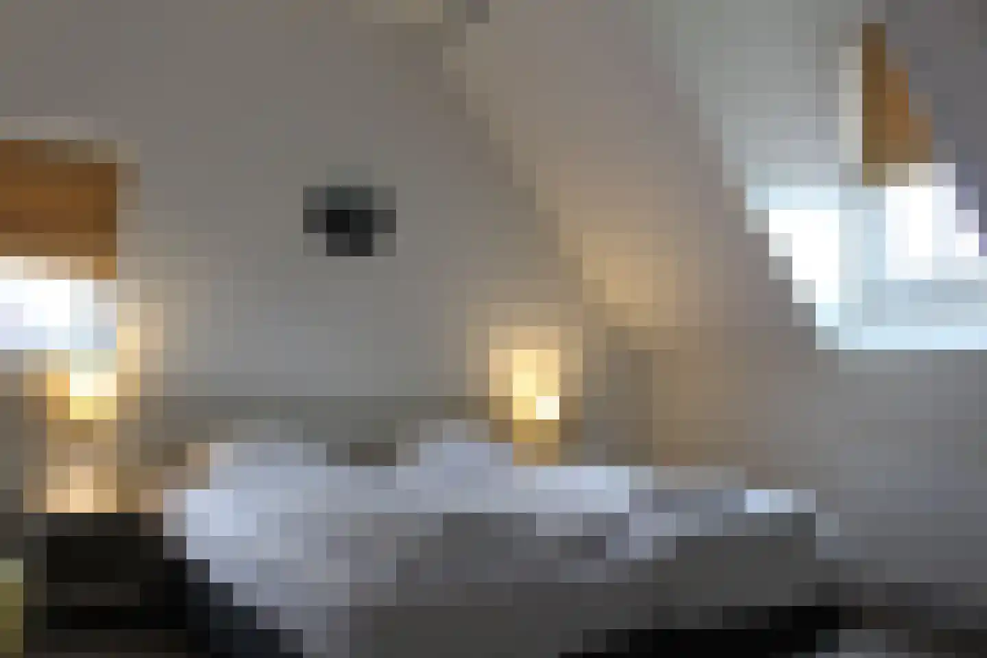Het Wilhelmus 15 T Maastricht thumbnail 14