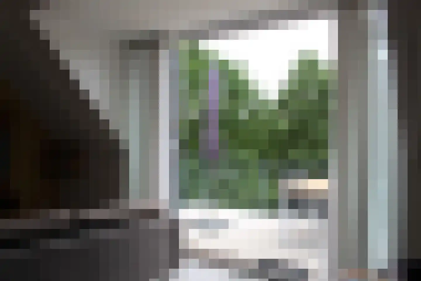 Het Wilhelmus 15 T Maastricht thumbnail 26