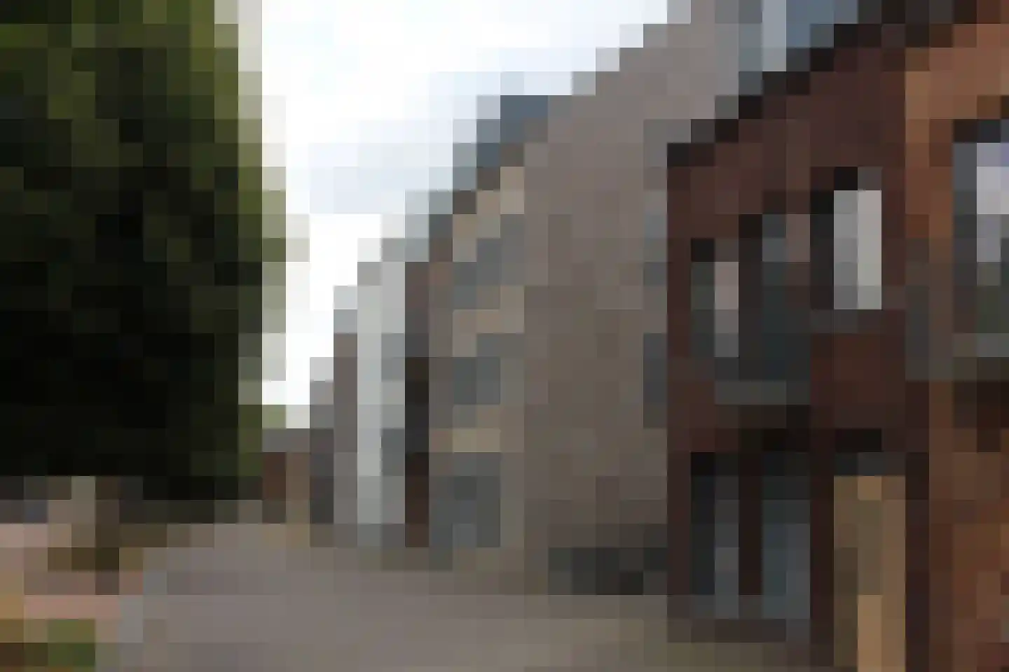 Het Wilhelmus 15 T Maastricht thumbnail 38