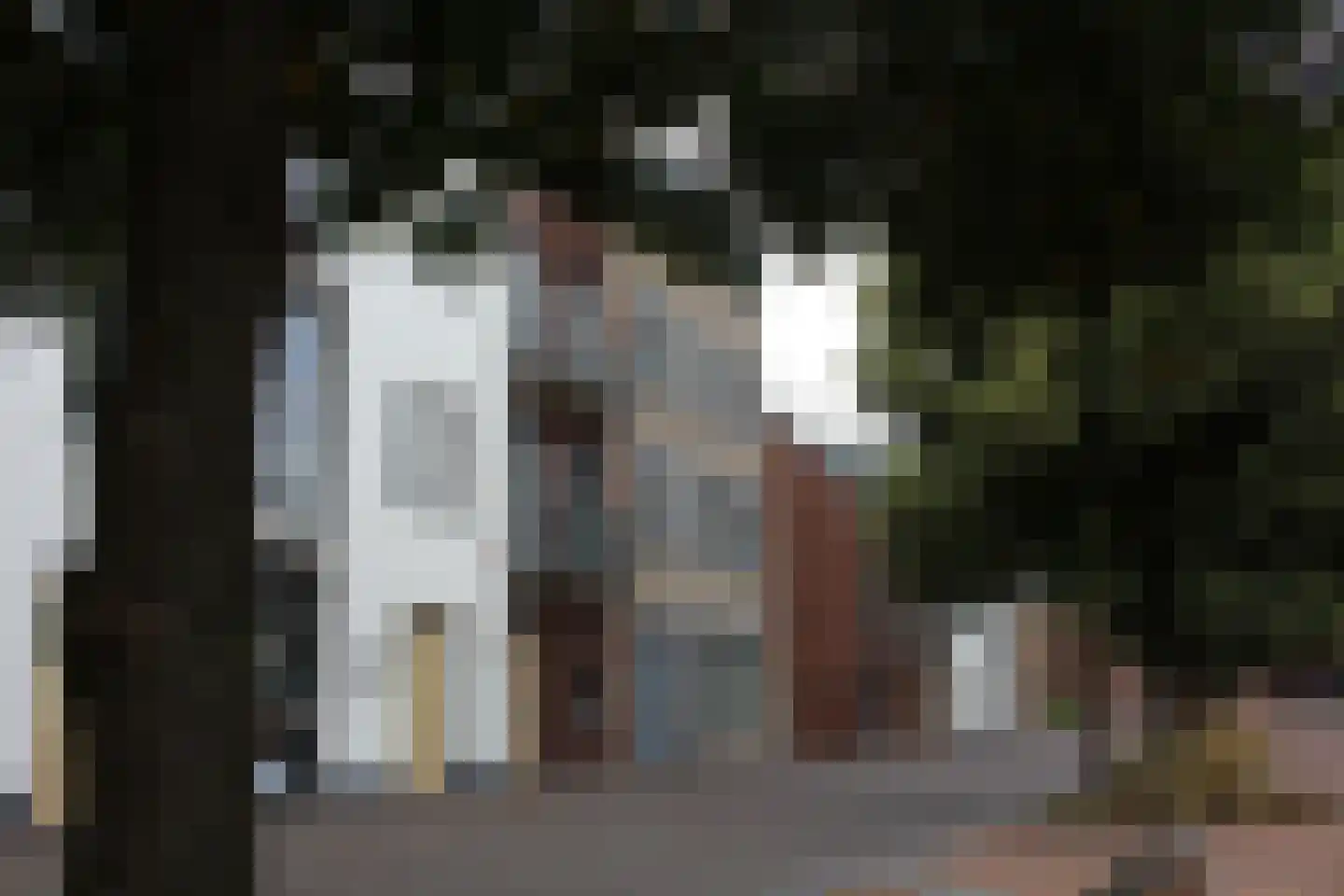 Het Wilhelmus 15 T Maastricht thumbnail 39