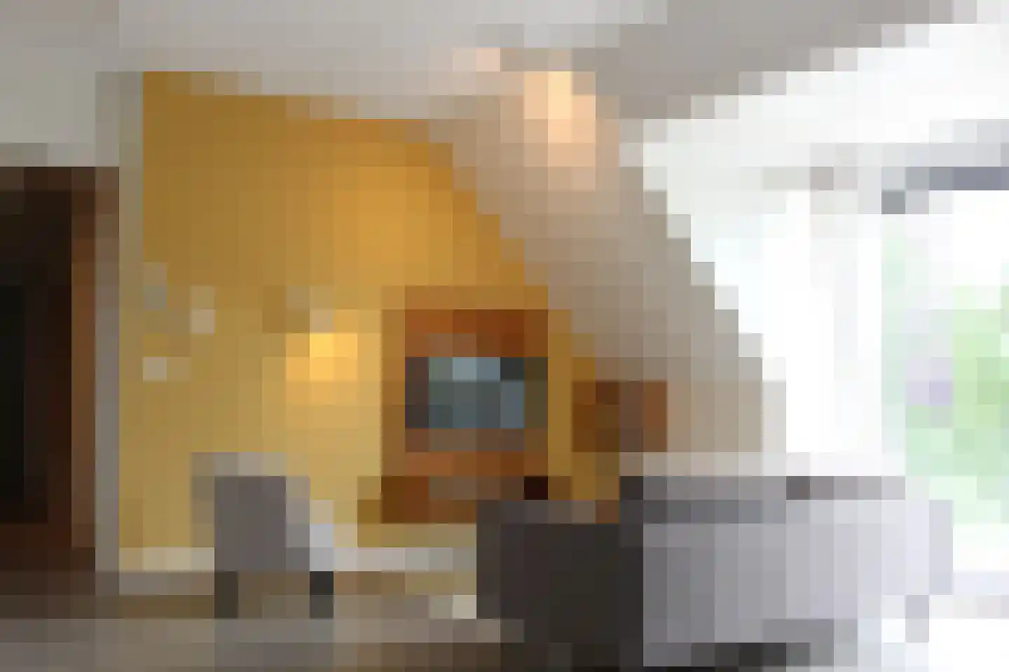 Het Wilhelmus 15 T Maastricht thumbnail 5