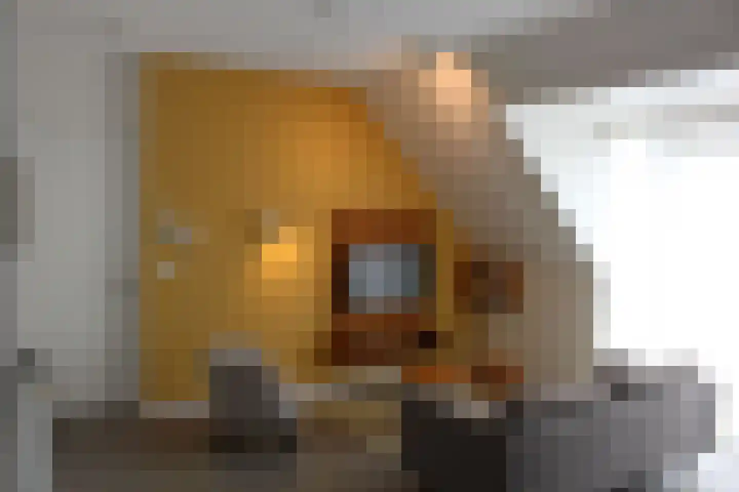 Het Wilhelmus 15 T Maastricht thumbnail 6