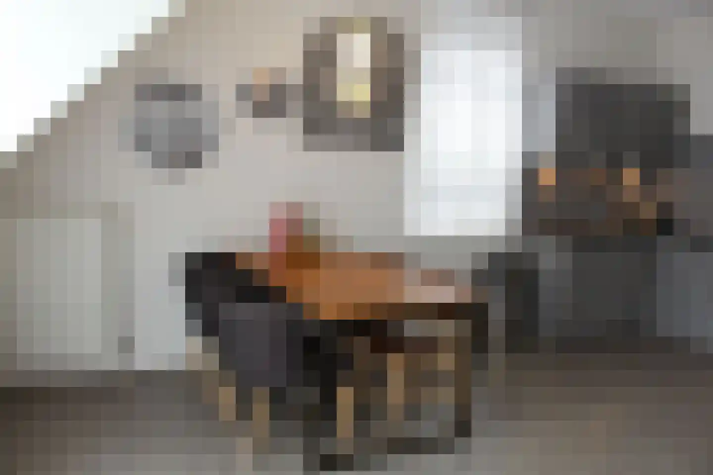 Het Wilhelmus 15 T Maastricht thumbnail 8