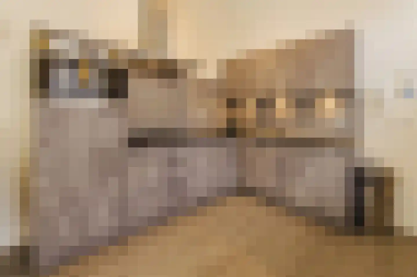 Het Wilhelmus 18 E Maastricht thumbnail 4