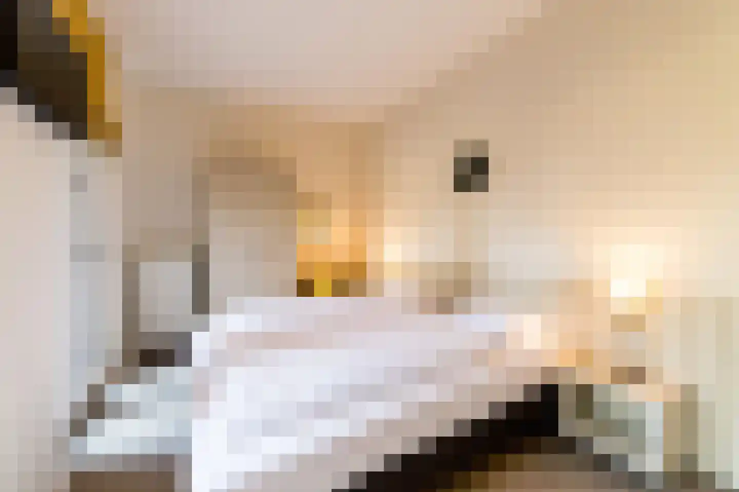 Het Wilhelmus 18 E Maastricht thumbnail 5