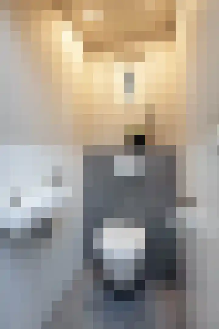 het Wilmink 18 Weerselo thumbnail 11