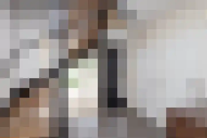 het Wilmink 18 Weerselo thumbnail 12