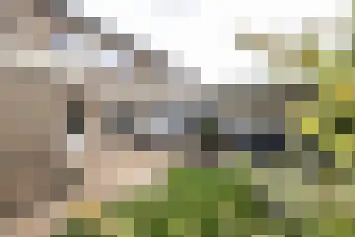 het Wilmink 18 Weerselo thumbnail 21