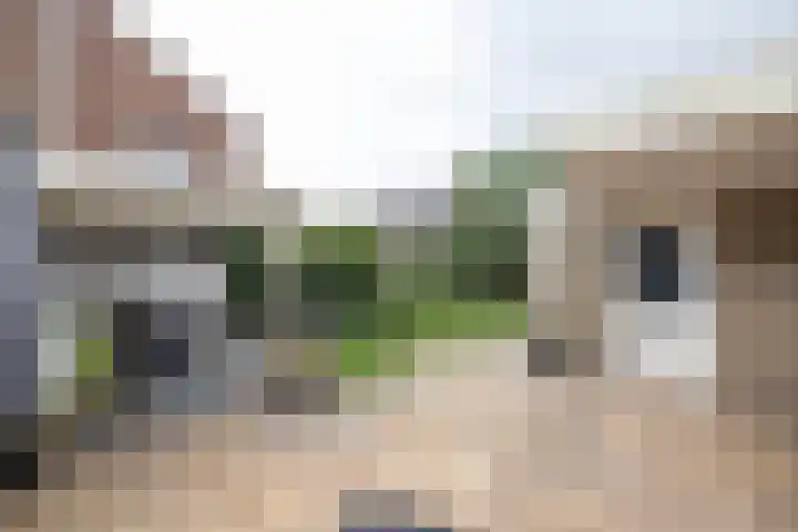 het Wilmink 18 Weerselo thumbnail 22