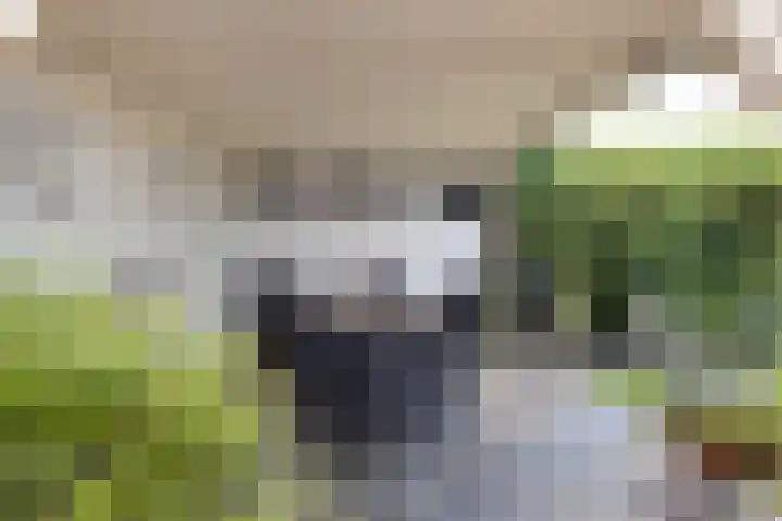 het Wilmink 18 Weerselo thumbnail 23