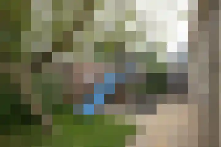 het Wilmink 18 Weerselo thumbnail 24